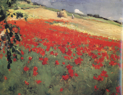 Landscape with Poppies (nn02)